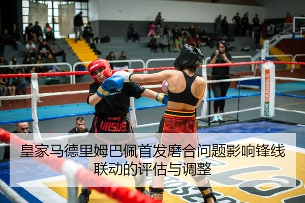 huang-jia-ma-de-li-mu-ba-pei-shou-fa-mo-he-wen-ti-ying-xiang-feng-xian-lian-dong-de-ping-gu-yu-tiao-zheng-2-735.jpg